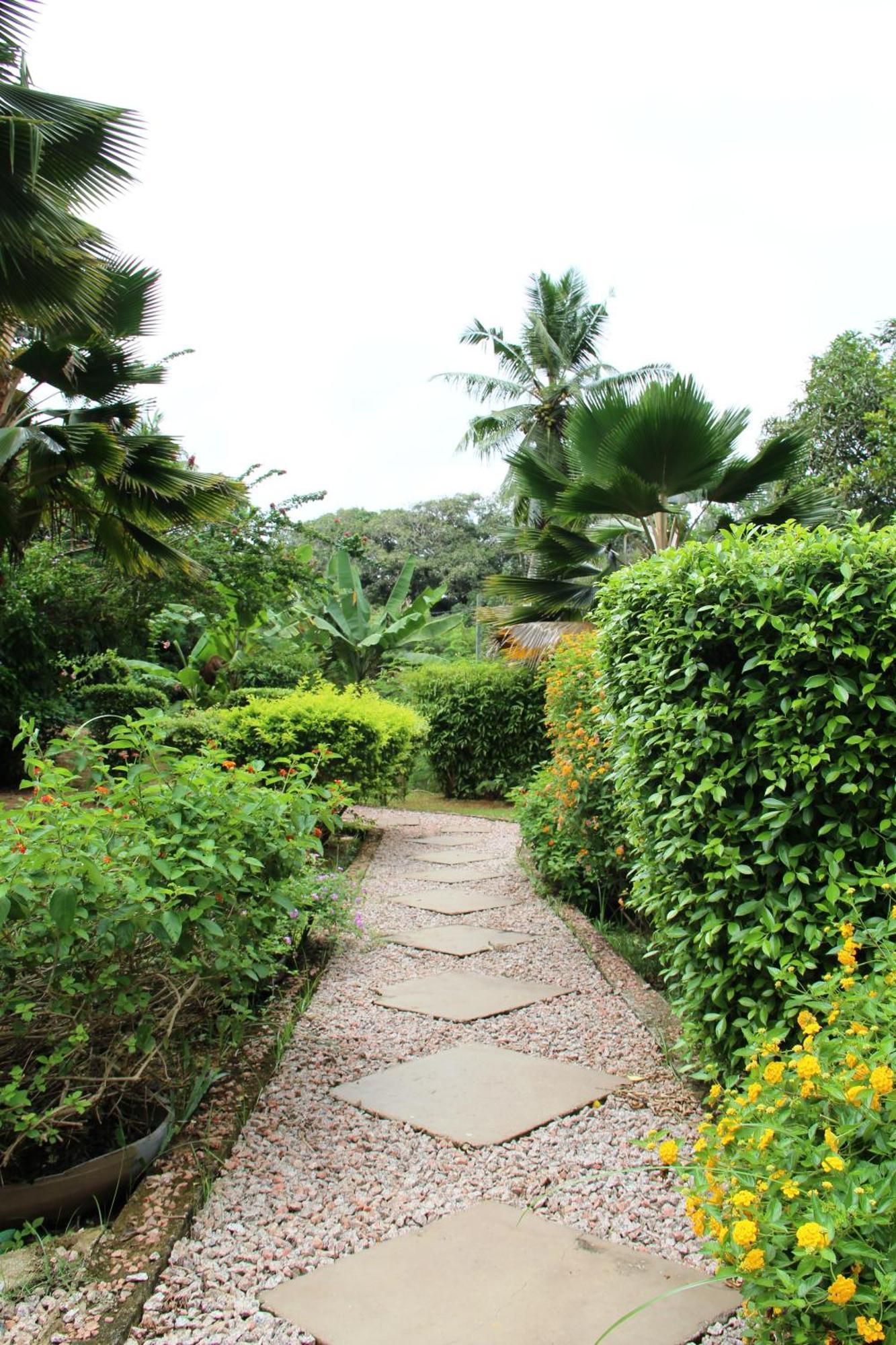 Belle Des Iles Acomodação com café da manhã La Digue Quarto foto