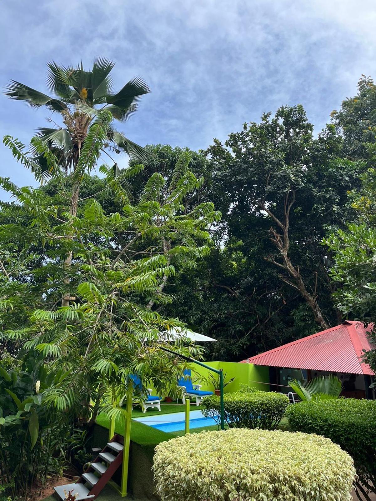 Belle Des Iles Acomodação com café da manhã La Digue Exterior foto